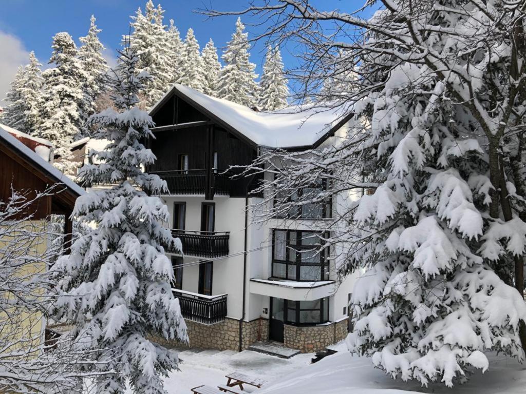 Montana Residence Poiana Brašov Exteriér fotografie